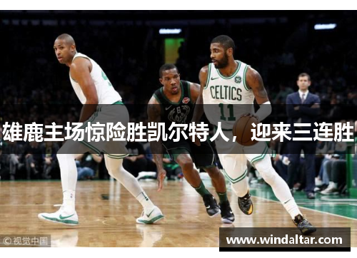 雄鹿主场惊险胜凯尔特人，迎来三连胜